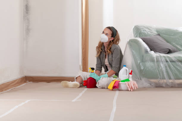 Reliable Mold Remediation contractor in Westport, NC by WQB Mold Removal
